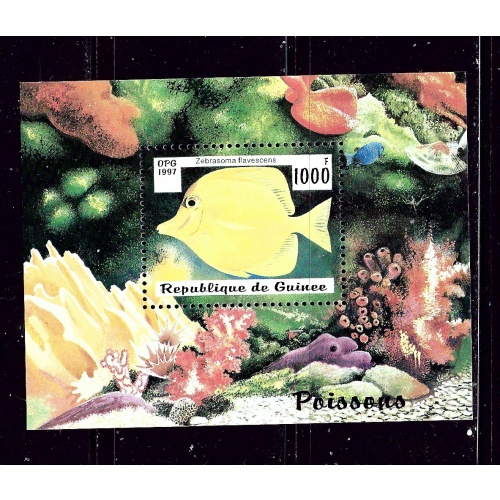 Guinea 1409 MNH 1997 Fish souvenir sheet