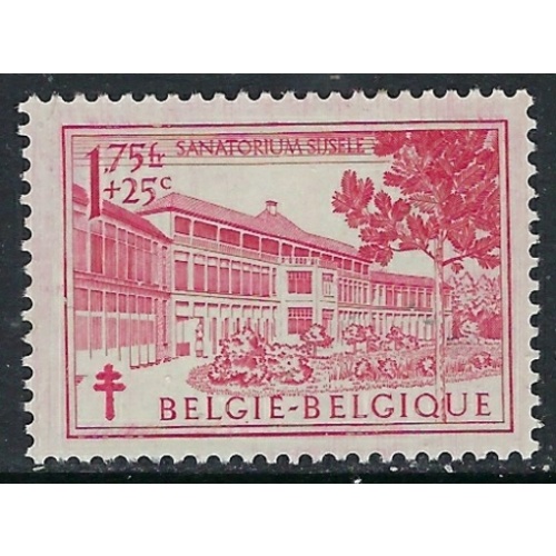 Belgium B489 MLH 1950 issue (ak3366)