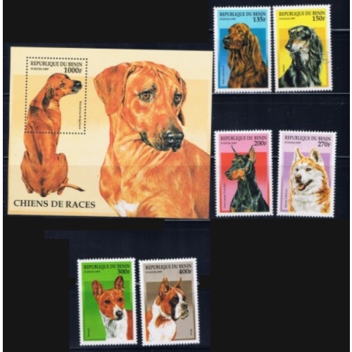 Benin 980-86 MNH 1997 Dogs set with souvenir sheet (ak1774)