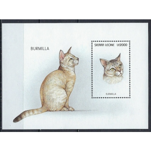 Sierra Leone 1895 MNH 1996 Cats (ak2762)