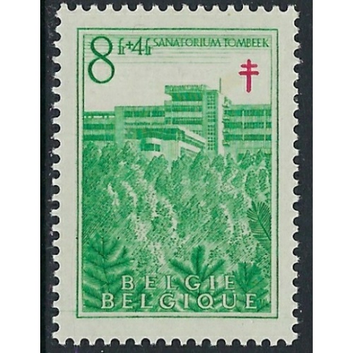 Belgium B491 MH 1950 issue (ak3365)