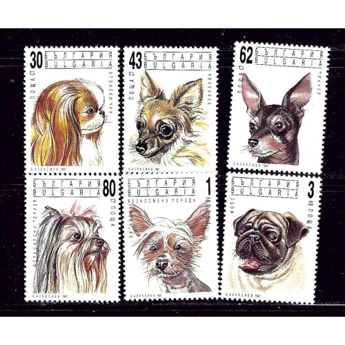 Bulgaria 3635-40 MNH 1991 Dogs