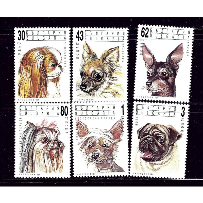 Bulgaria 3635-40 MNH 1991 Dogs