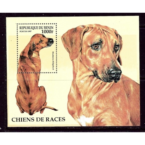 Benin 986 MNH 1997 Dogs S/S    (ap5534)