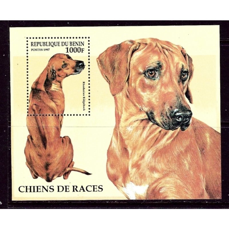 Benin 986 MNH 1997 Dogs S/S    (ap5534)