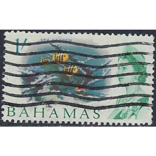 Bahamas 213 Used 1965 issue (ak6833)