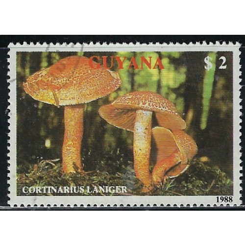Guyana 2010b CTO 1989 issue (an2738)