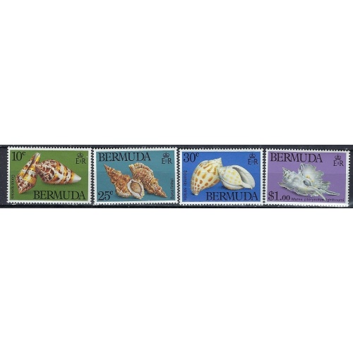 Bermuda 419-22 MNH 1982 Sea Shells (ak1566)