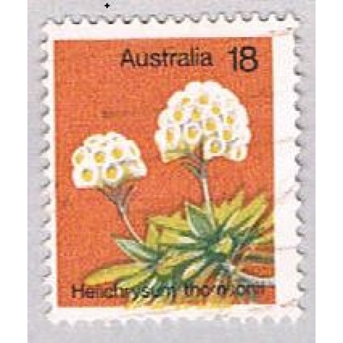 Australia 564 Used Flower 1973 (BP55703)