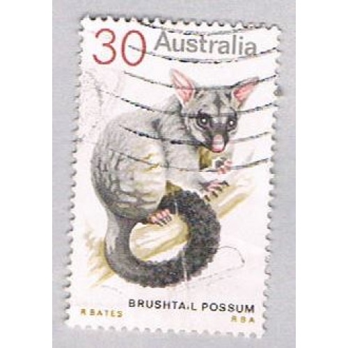 Australia 568 Used Possum 1973 (BP55217)