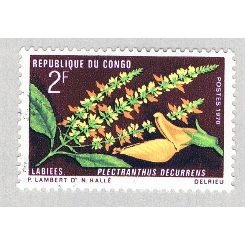 Congo PR 223 Used Flowers 1970 (BP62906)