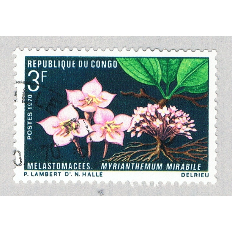 Congo PR 224 Used Flowers 1 1970 (BP62909)