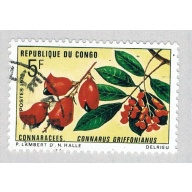 Congo PR 225 Used Flowers 1 1970 (BP62911)