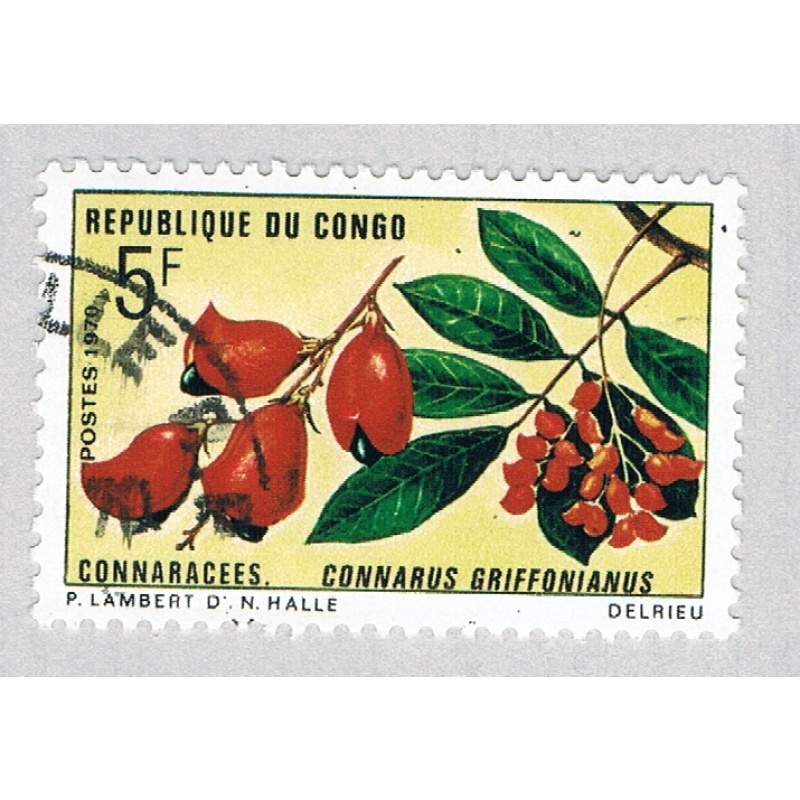 Congo PR 225 Used Flowers 1 1970 (BP62911)