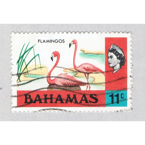 Bahamas 322 Used Flamingos 1 1971 CV 2.75 (BP63817)