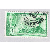 Barbados 217 Used Sugar Cane 1950 CV 3.25 (BP63906)