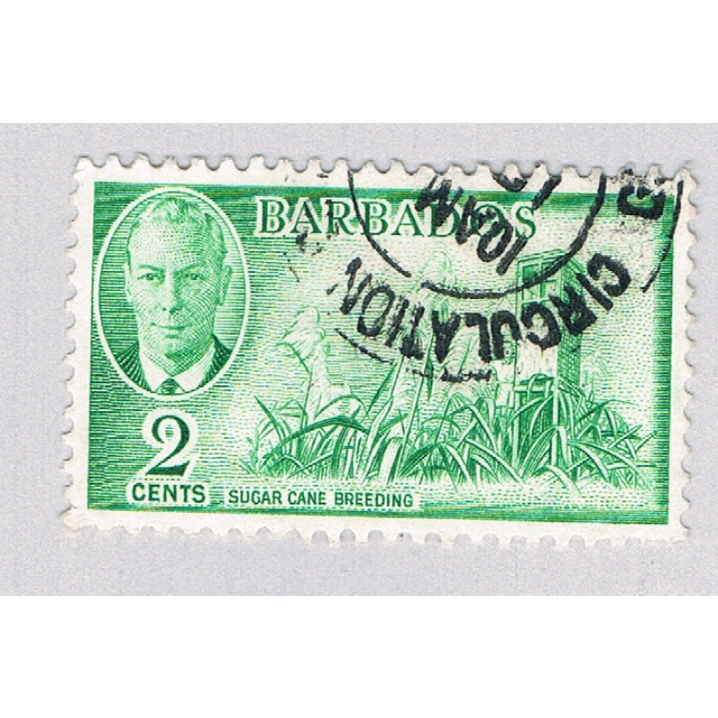 Barbados 217 Used Sugar Cane 1950 CV 3.25 (BP63906)