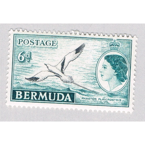 Bermuda 152 Unused Tropic Bird 1953 CV 5.00 (BP64214)