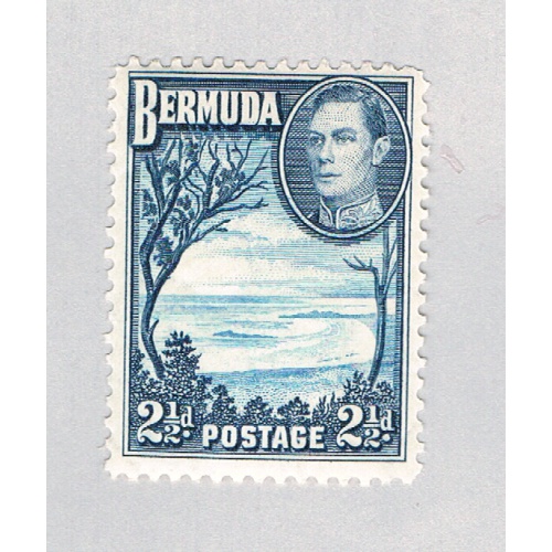 Bermuda 120 MLH Grape Bay 1938 CV 8.50 (BP64503)