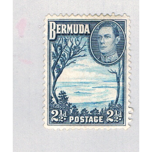 Bermuda 120 MLH Grape Bay 1 1938 CV 8.50 (BP64504)