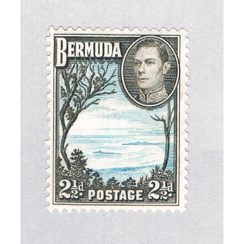 Bermuda 120A MLH Grape Bay 1938 CV 2.50 (BP64505)