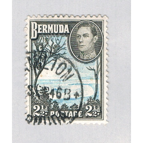 Bermuda 120A Used Grape Bay 1938 CV 1.25 (BP64507)