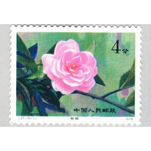 China PR 1530 Unused Flower Rosed 1979 CV 5.25 (BP66911)