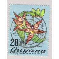 Guyana 140 Used Flower 1971 (BP71421)