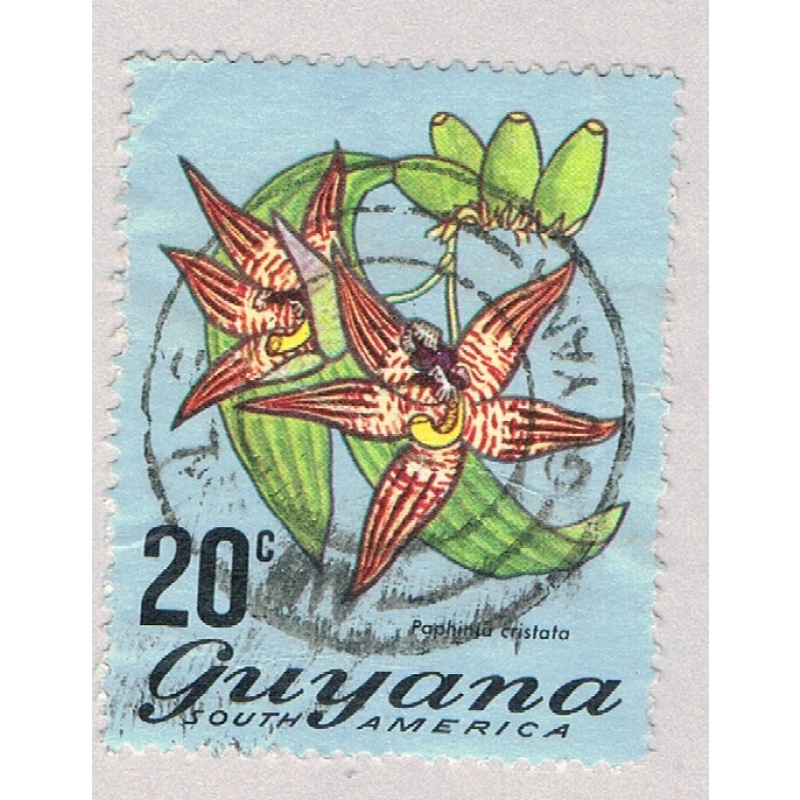 Guyana 140 Used Flower 1971 (BP71421)