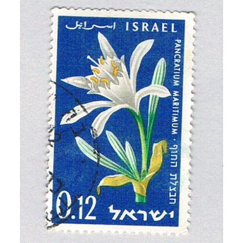 Israel  Used White Flowers  (BP74312)