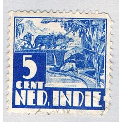 Netherland Indies 206 Used Buffalo Plough 1942 (BP76222)