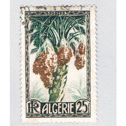 Algeria 230 Used Dates 1 1950 CV 1.25 (BP76414)