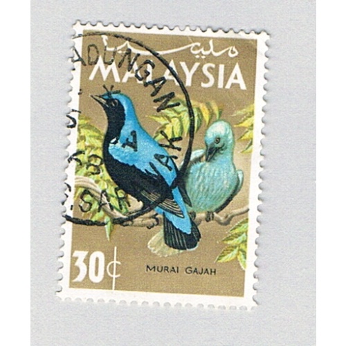 Malaysia 21 Used Bluebird 1 1965 (BP80211)