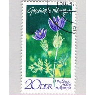 Germany DDR 1195 Used Pulsatilla vulgaris Flower 1970 (BP80224)