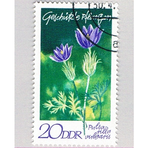 Germany DDR 1195 Used Pulsatilla vulgaris Flower 1970 (BP80224)