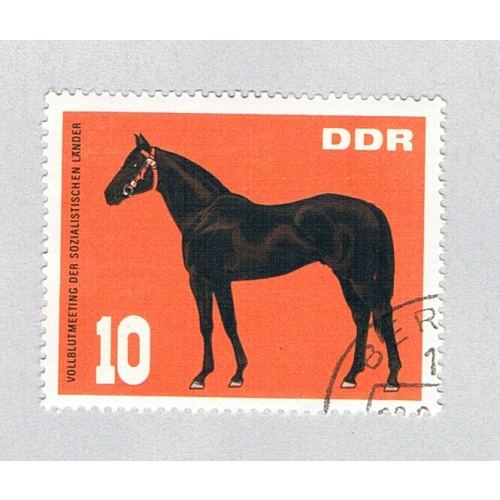 Germany 946 Used Stallion horse 1967 CV 1.50 (BP81707)