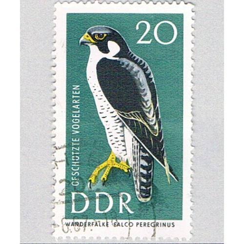 Germany DDR 917 Used Peregrine Falcon 1967 (BP83114)