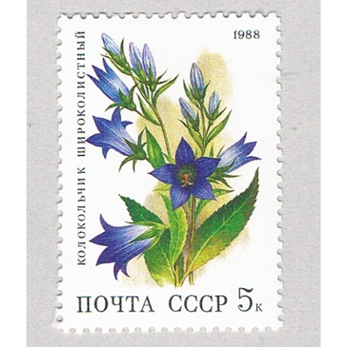 Russia 5687 MNH Flowers 1968 (BP83117)