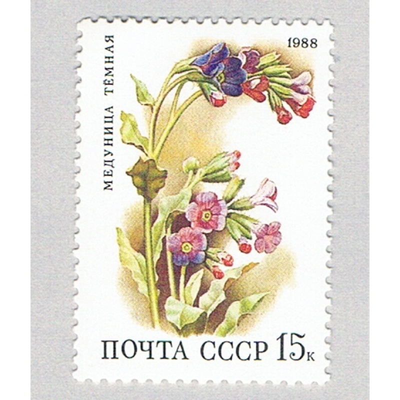 Russia 5689 MNH Flowers 1968 (BP83118)