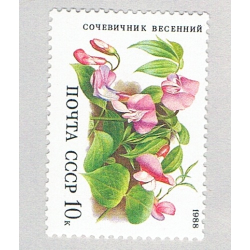 Russia 5688 MNH Flowers 1968 (BP83120)