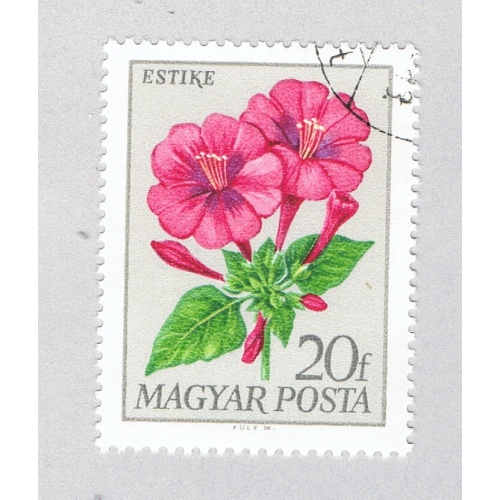 Hungary  Used Four Oclock Flower 1968 (BP83201)