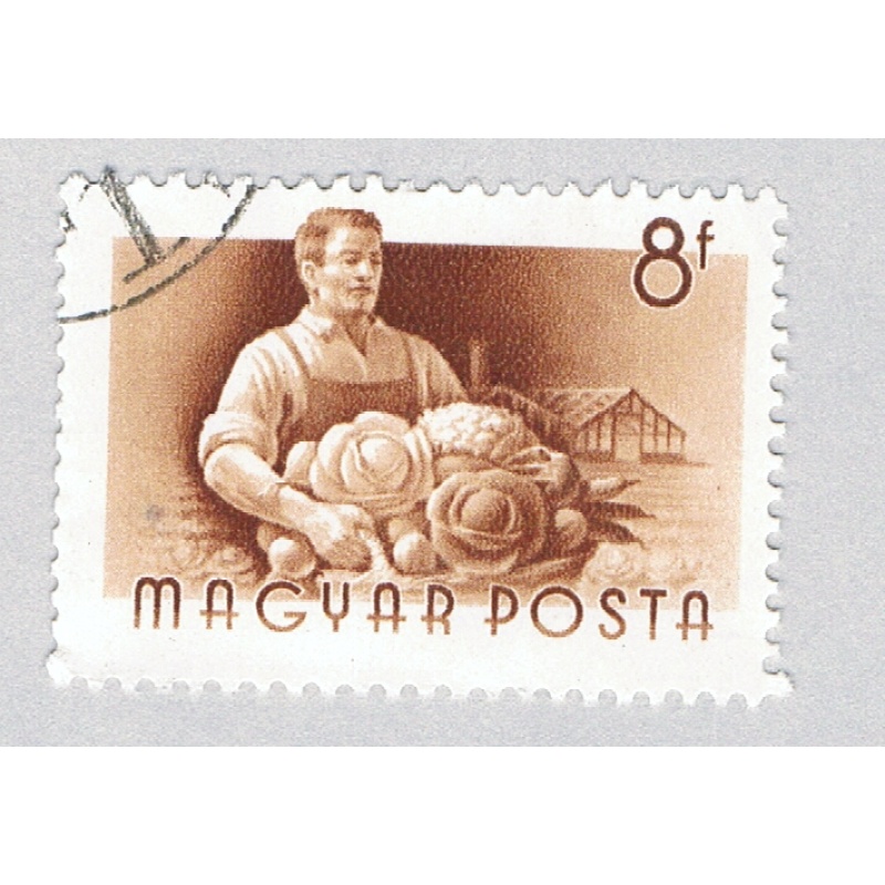 Hungary 1116 Used Worker 1955 (BP83705)