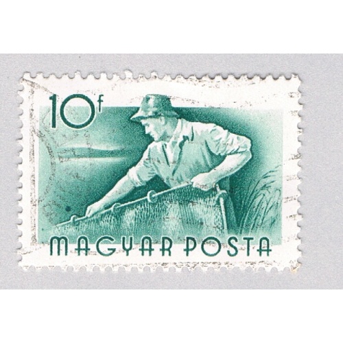 Hungary 1117 Used Worker 1955 (BP83706)