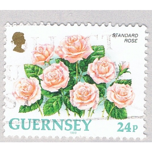 Guernsey 489a Used Roses 1993 (BP85831)