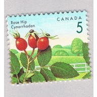 Canada 1352 MLH Rose Hip flower 1991 (BP85934)