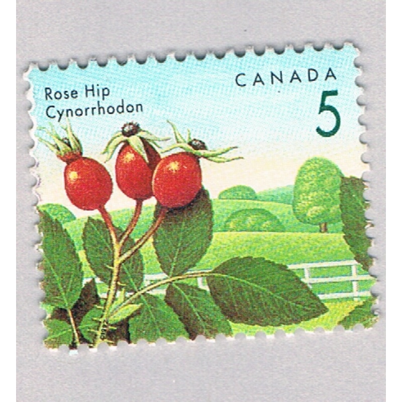 Canada 1352 MLH Rose Hip flower 1991 (BP85934)