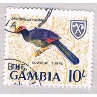 Gambia 226 Used Plantain Eater 1966 CV 2.50 (BP53212)