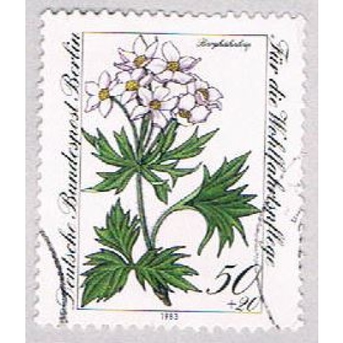 Germany 9NB204 Used Flower 1983 (BP50123)