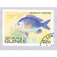 Guinea 805 Used Fish Abudefuf 1980 (BP48502)