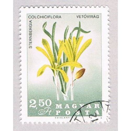 Hungary 1816 Used Flowers 1967 (BP42516)